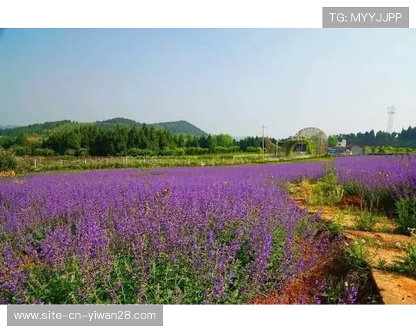 走进绿茵巨星世界畅听他们赛场内外的动感音乐歌单